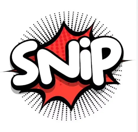 SimpCity