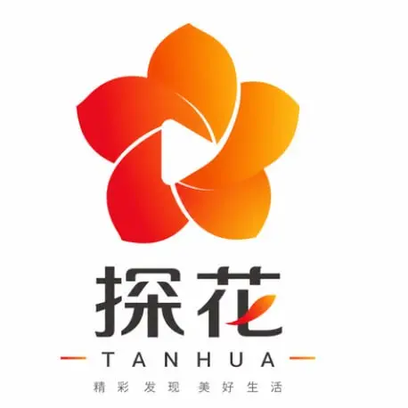 大奶探花