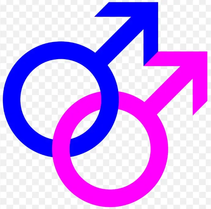 GayMaleTube