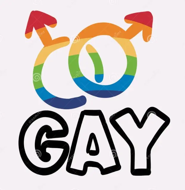gayvids