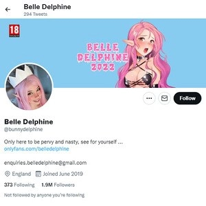 Belle Delphine Twitter
