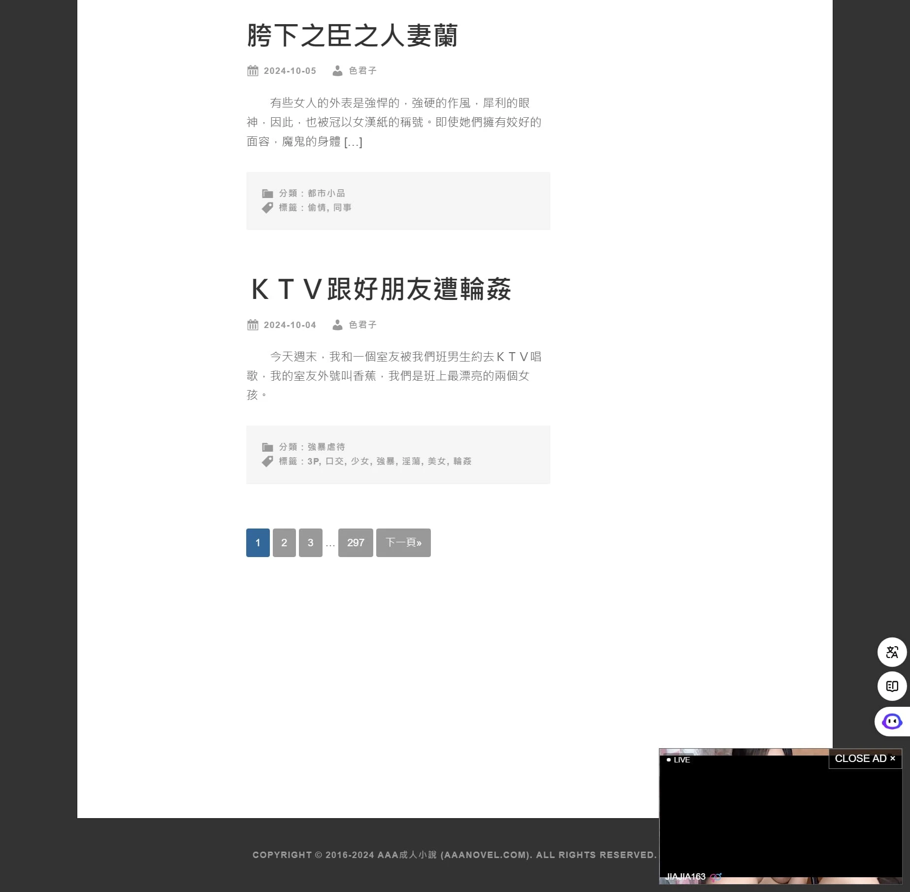 AAA成人小說
