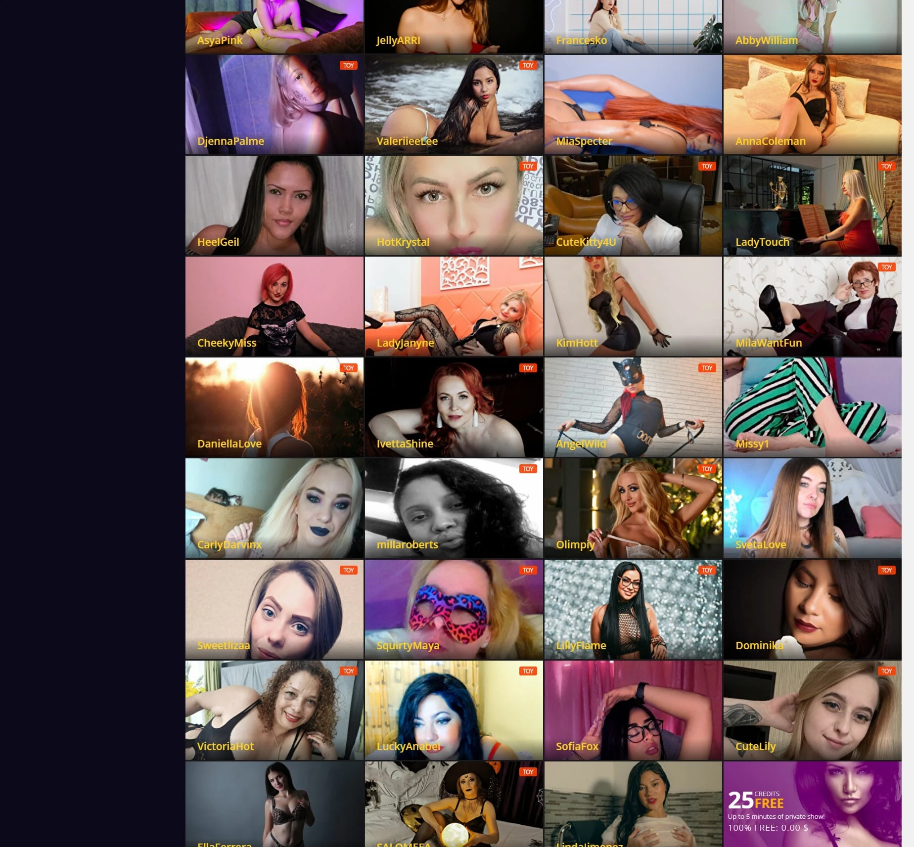 Xcams