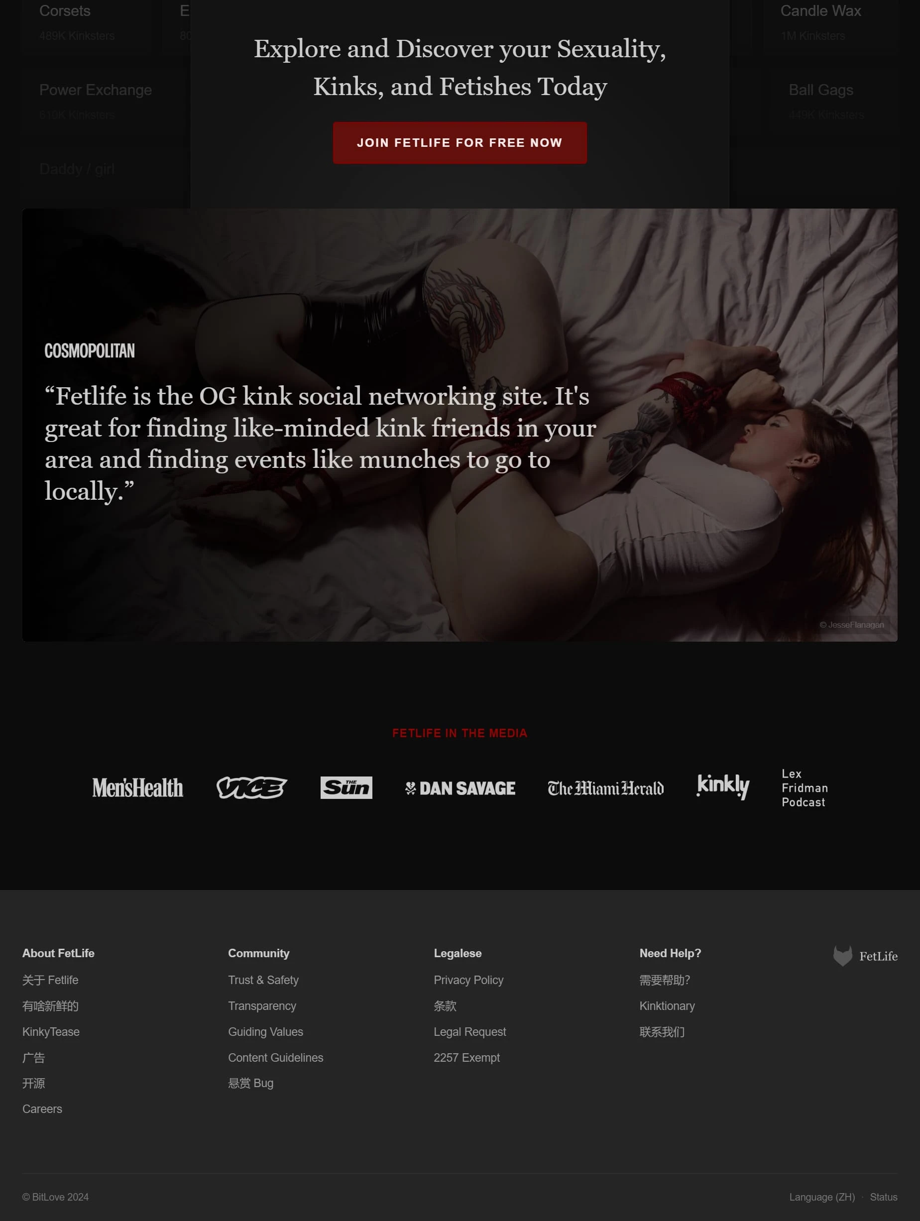 FetLife