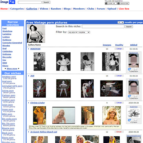 ImageFap Vintage