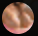 GifHQ