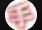 Handjob Japan