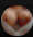 DomPorn