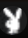 Playboy Magazines