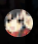 Mitaku