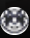 xHamster Arab