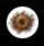 ScatPortal