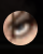 Reveal Me