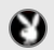PlayboyPlus